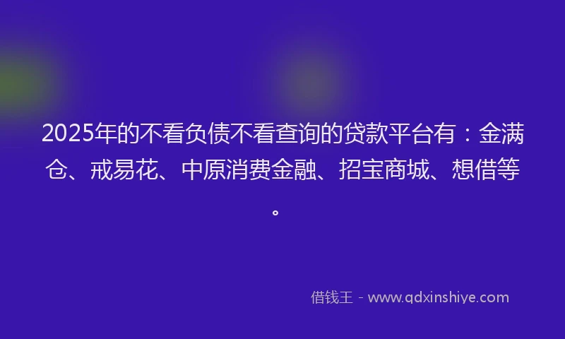 2025年的不看负债不看查询的贷款平台有：金满仓、戒易花、中原消费金融、招宝商城、想借等。