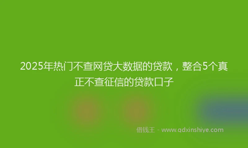 2025年热门不查网贷大数据的贷款，整合5个真正不查征信的贷款口子