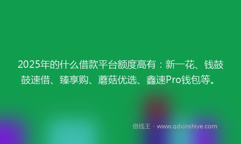 2025年的什么借款平台额度高有：新一花、钱鼓鼓速借、臻享购、蘑菇优选、鑫速Pro钱包等。
