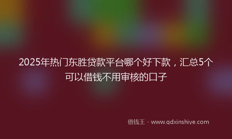 2025年热门东胜贷款平台哪个好下款，汇总5个可以借钱不用审核的口子