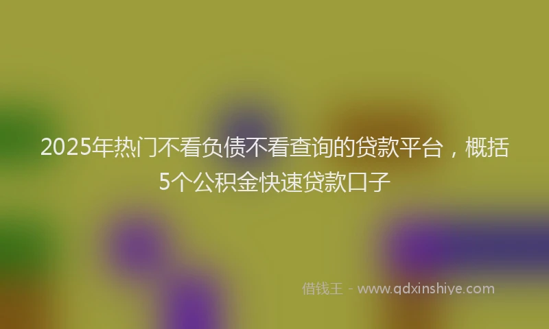 2025年热门不看负债不看查询的贷款平台，概括5个公积金快速贷款口子