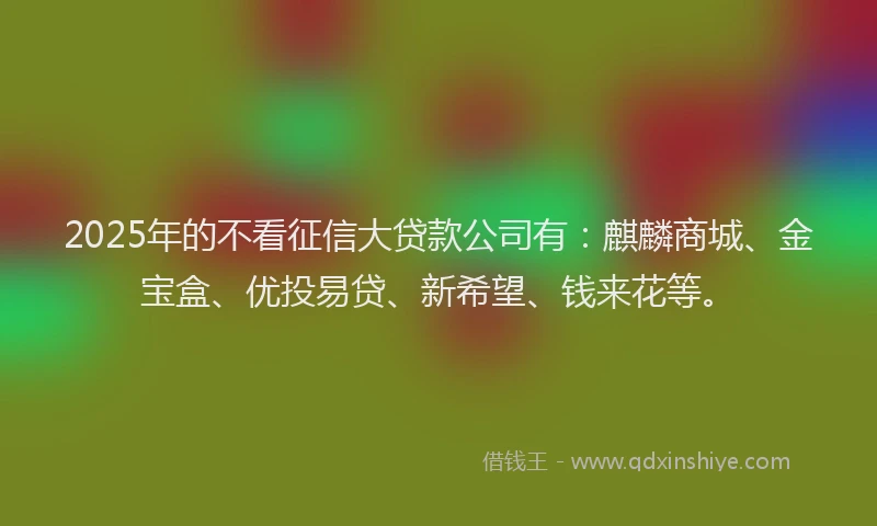 2025年的不看征信大贷款公司有：麒麟商城、金宝盒、优投易贷、新希望、钱来花等。