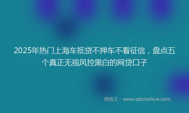 2025年热门上海车抵贷不押车不看征信，盘点五个真正无视风控黑白的网贷口子