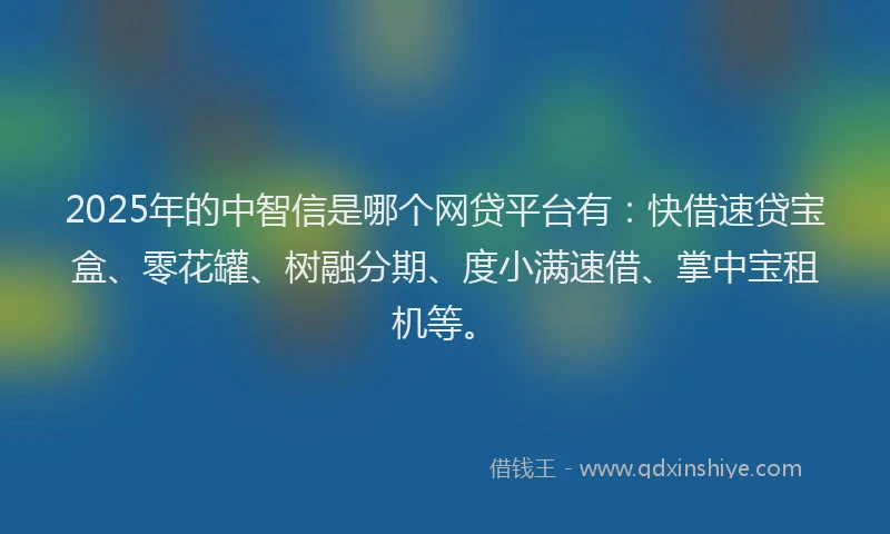 2025年的中智信是哪个网贷平台有：快借速贷宝盒、零花罐、树融分期、度小满速借、掌中宝租机等。