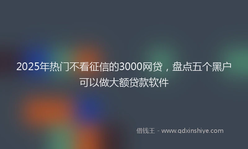 2025年热门不看征信的3000网贷，盘点五个黑户可以做大额贷款软件