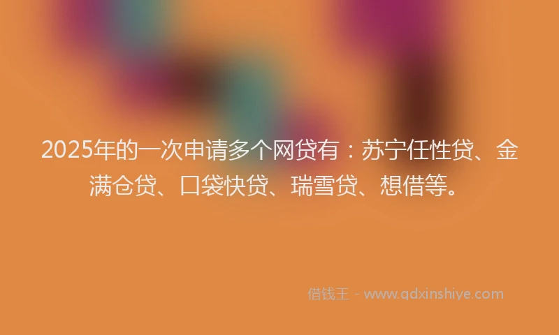 2025年的一次申请多个网贷有：苏宁任性贷、金满仓贷、口袋快贷、瑞雪贷、想借等。