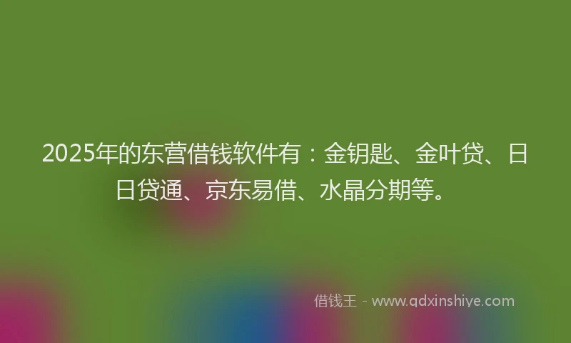 2025年的东营借钱软件有：金钥匙、金叶贷、日日贷通、京东易借、水晶分期等。