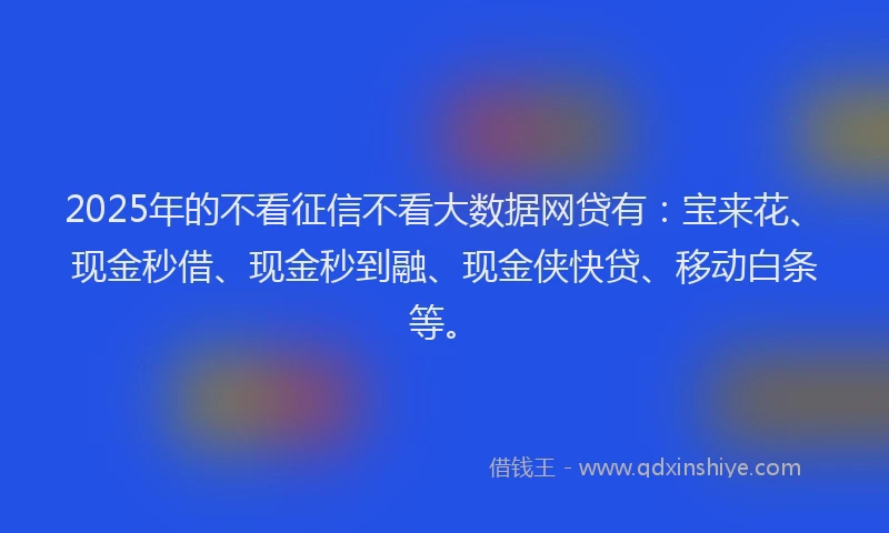 2025年的不看征信不看大数据网贷有：宝来花、现金秒借、现金秒到融、现金侠快贷、移动白条等。