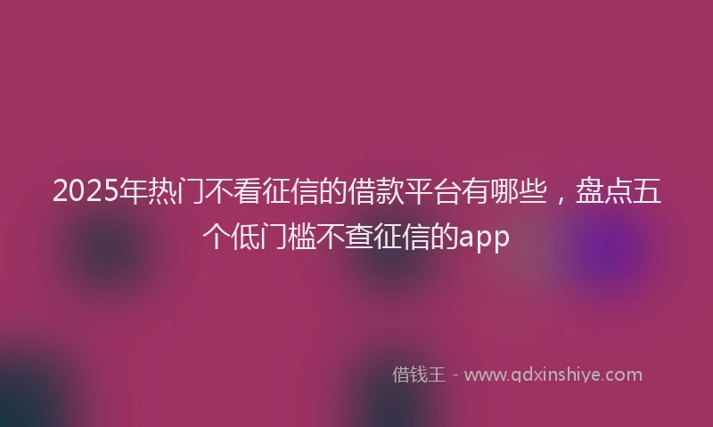 2025年热门不看征信的借款平台有哪些，盘点五个低门槛不查征信的app