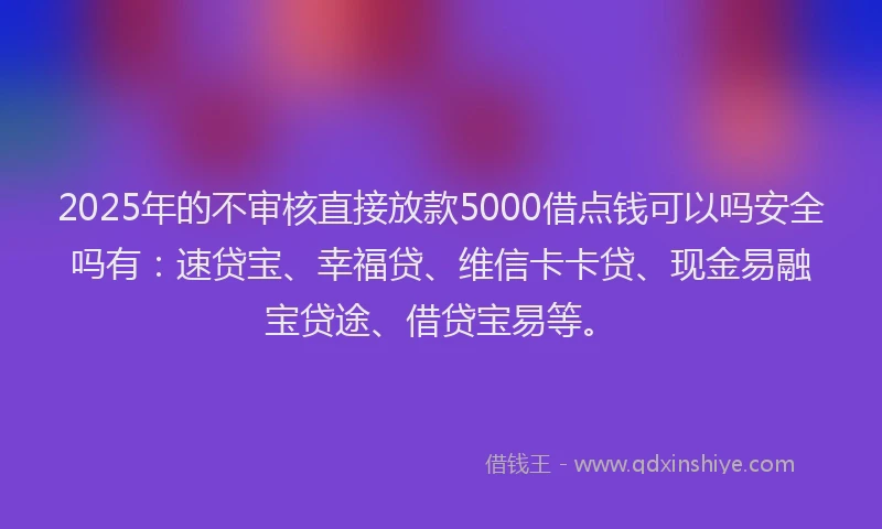 2025年的不审核直接放款5000借点钱可以吗安全吗有：速贷宝、幸福贷、维信卡卡贷、现金易融宝贷途、借贷宝易等。