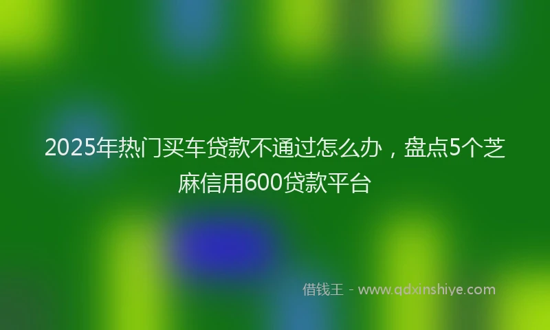 2025年热门买车贷款不通过怎么办，盘点5个芝麻信用600贷款平台