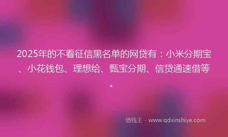 2025年的不看征信黑名单的网贷有：小米分期宝、小花钱包、理想给、甄宝分期、信贷通速借等。