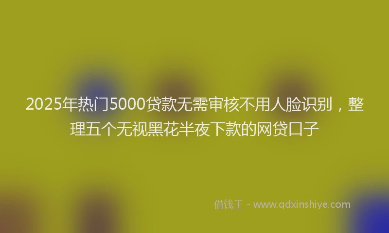2025年热门5000贷款无需审核不用人脸识别，整理五个无视黑花半夜下款的网贷口子