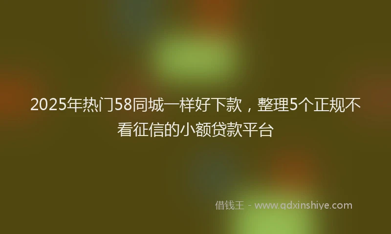 2025年热门58同城一样好下款，整理5个正规不看征信的小额贷款平台