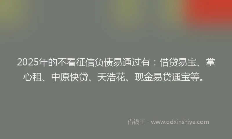 2025年的不看征信负债易通过有：借贷易宝、掌心租、中原快贷、天浩花、现金易贷通宝等。