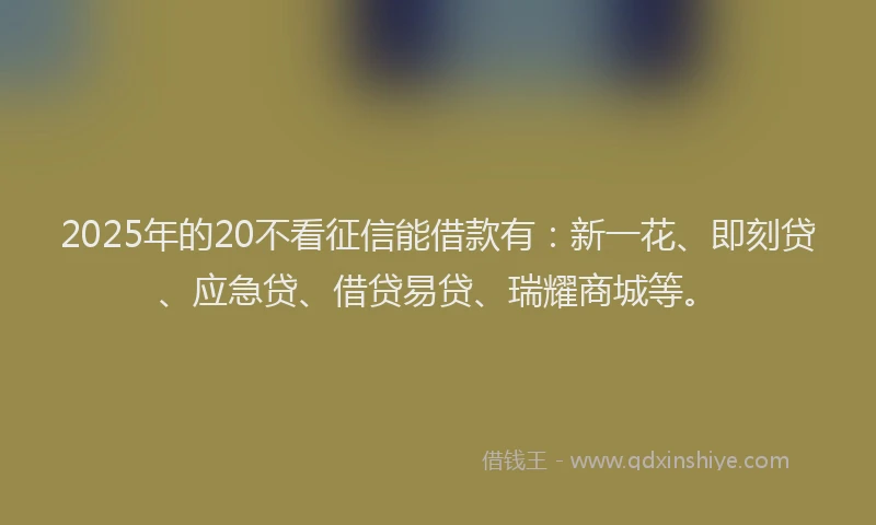 2025年的20不看征信能借款有：新一花、即刻贷、应急贷、借贷易贷、瑞耀商城等。