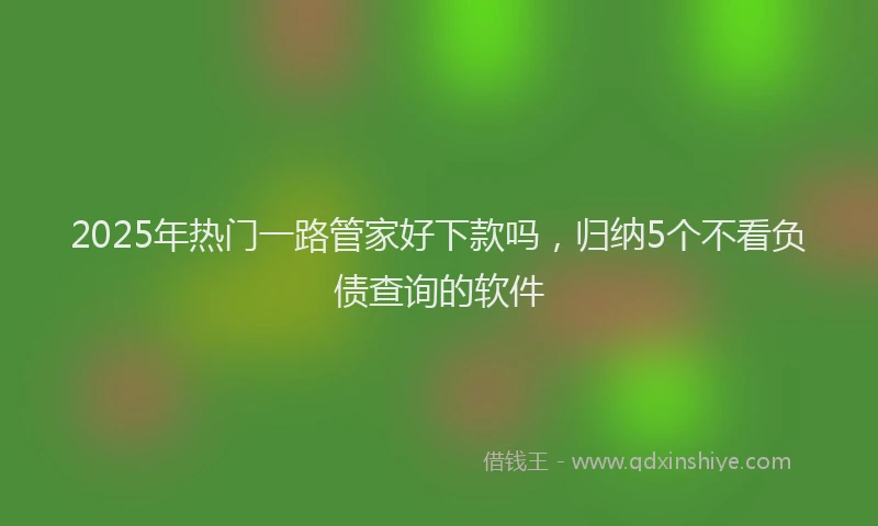 2025年热门一路管家好下款吗，归纳5个不看负债查询的软件