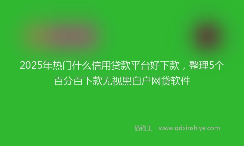2025年热门什么信用贷款平台好下款，整理5个百分百下款无视黑白户网贷软件