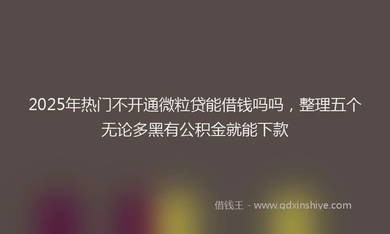 2025年热门不开通微粒贷能借钱吗吗，整理五个无论多黑有公积金就能下款