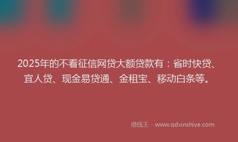 2025年的不看征信网贷大额贷款有：省时快贷、宜人贷、现金易贷通、金租宝、移动白条等。