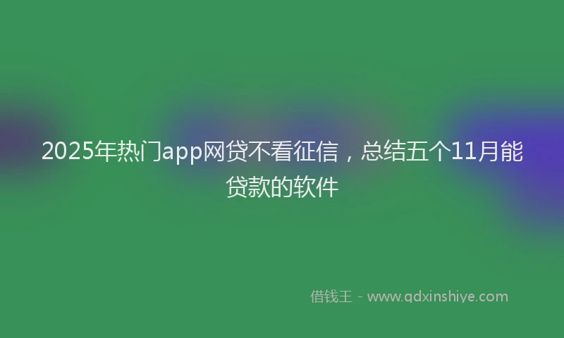 2025年热门app网贷不看征信，总结五个11月能贷款的软件