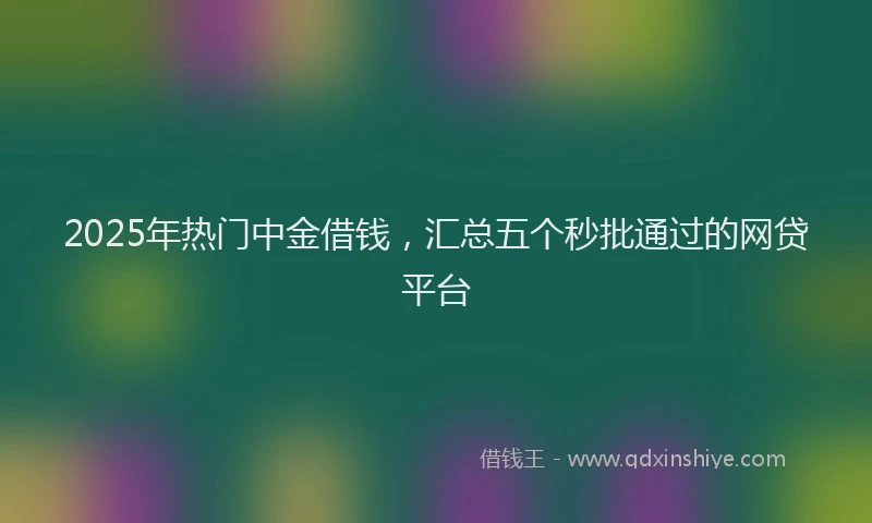 2025年热门中金借钱，汇总五个秒批通过的网贷平台