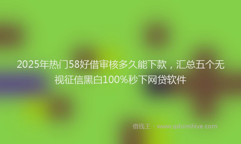 2025年热门58好借审核多久能下款，汇总五个无视征信黑白100%秒下网贷软件