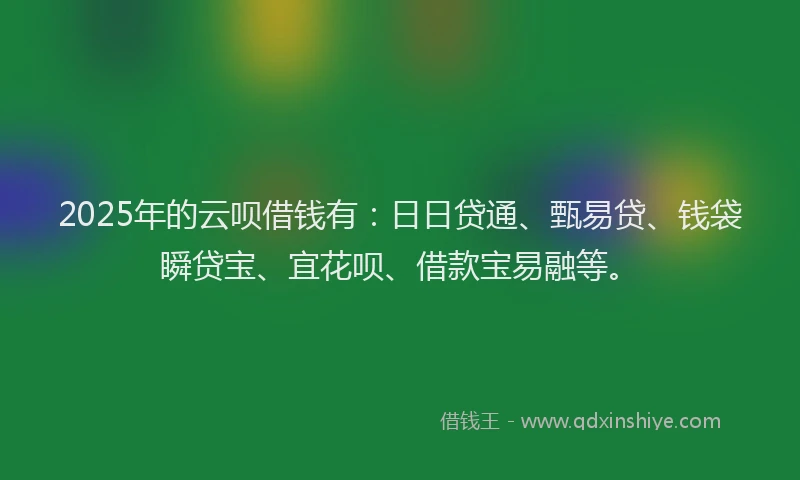 2025年的云呗借钱有：日日贷通、甄易贷、钱袋瞬贷宝、宜花呗、借款宝易融等。