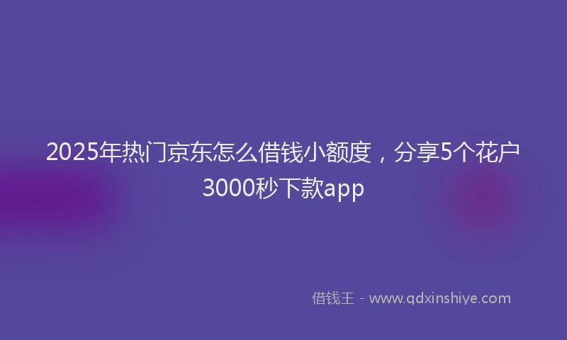 2025年热门京东怎么借钱小额度，分享5个花户3000秒下款app