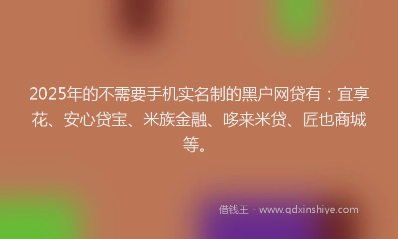 2025年的不需要手机实名制的黑户网贷有：宜享花、安心贷宝、米族金融、哆来米贷、匠也商城等。
