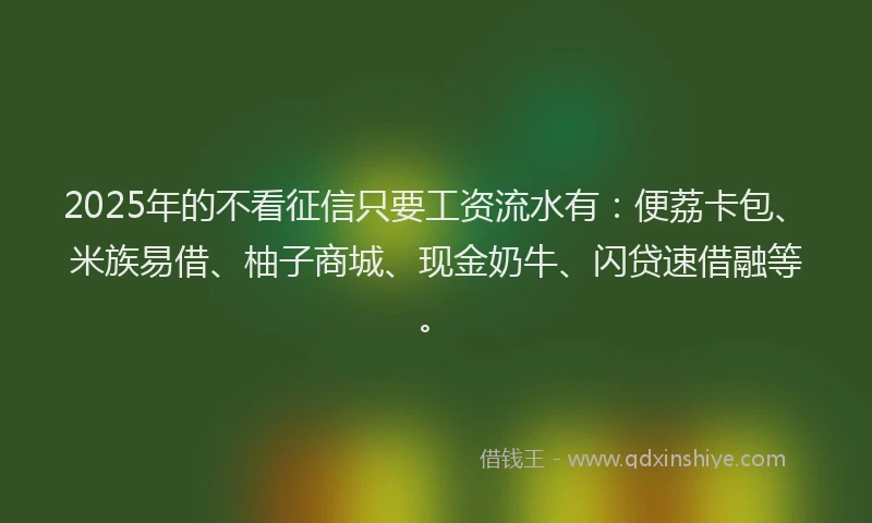 2025年的不看征信只要工资流水有：便荔卡包、米族易借、柚子商城、现金奶牛、闪贷速借融等。