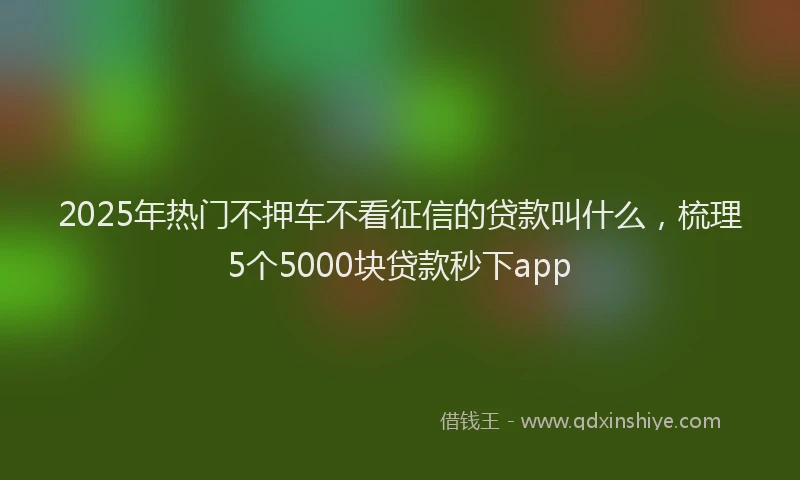 2025年热门不押车不看征信的贷款叫什么，梳理5个5000块贷款秒下app