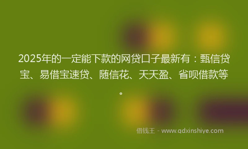 2025年的一定能下款的网贷口子最新有：甄信贷宝、易借宝速贷、随信花、天天盈、省呗借款等。