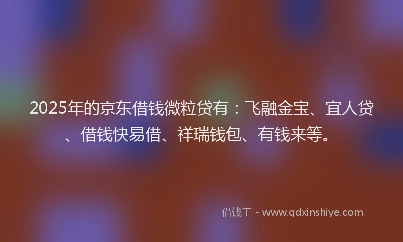 2025年的京东借钱微粒贷有：飞融金宝、宜人贷、借钱快易借、祥瑞钱包、有钱来等。