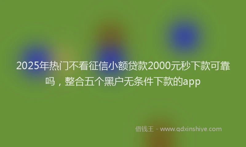 2025年热门不看征信小额贷款2000元秒下款可靠吗，整合五个黑户无条件下款的app