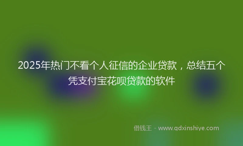 2025年热门不看个人征信的企业贷款，总结五个凭支付宝花呗贷款的软件