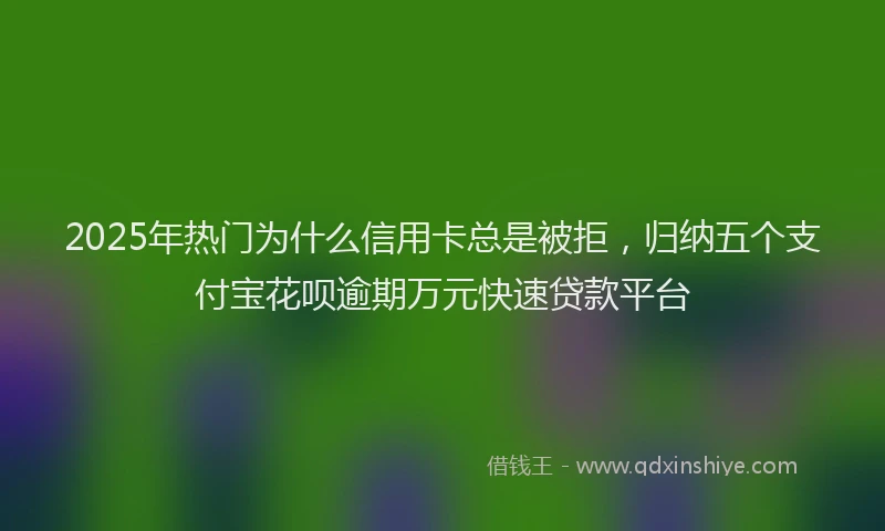 2025年热门为什么信用卡总是被拒，归纳五个支付宝花呗逾期万元快速贷款平台