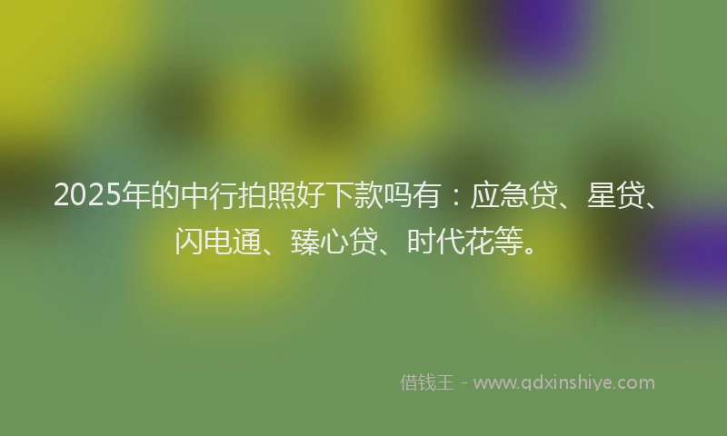 2025年的中行拍照好下款吗有：应急贷、星贷、闪电通、臻心贷、时代花等。