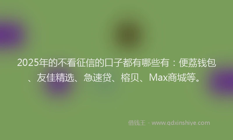 2025年的不看征信的口子都有哪些有：便荔钱包、友佳精选、急速贷、榕贝、Max商城等。