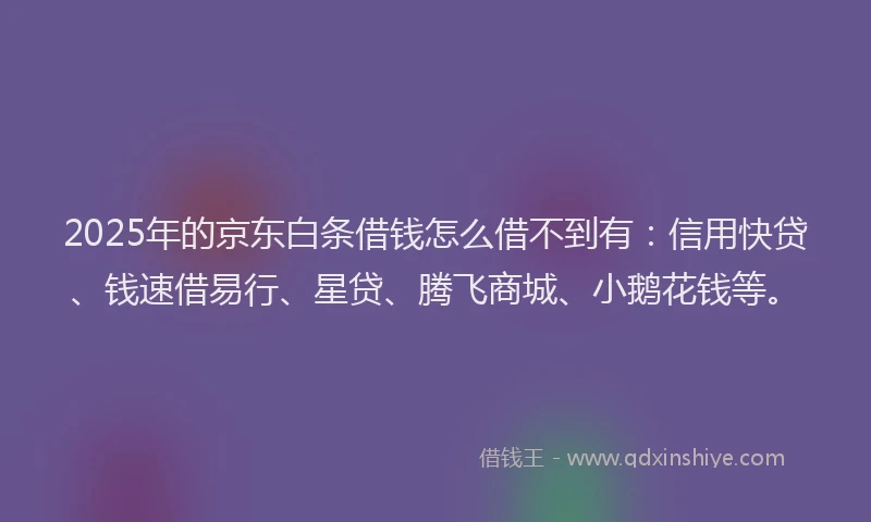 2025年的京东白条借钱怎么借不到有：信用快贷、钱速借易行、星贷、腾飞商城、小鹅花钱等。