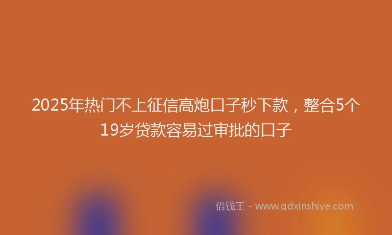 2025年热门不上征信高炮口子秒下款，整合5个19岁贷款容易过审批的口子