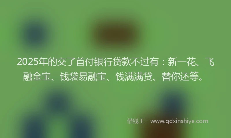 2025年的交了首付银行贷款不过有：新一花、飞融金宝、钱袋易融宝、钱满满贷、替你还等。