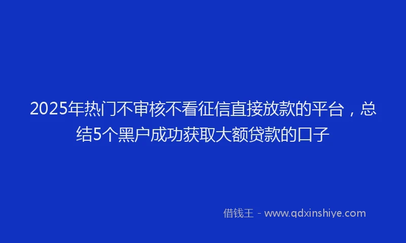 2025年热门不审核不看征信直接放款的平台，总结5个黑户成功获取大额贷款的口子