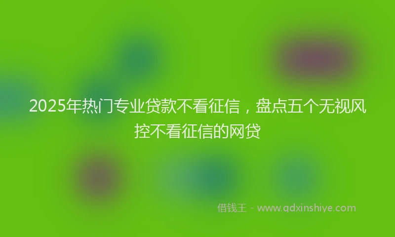 2025年热门专业贷款不看征信，盘点五个无视风控不看征信的网贷