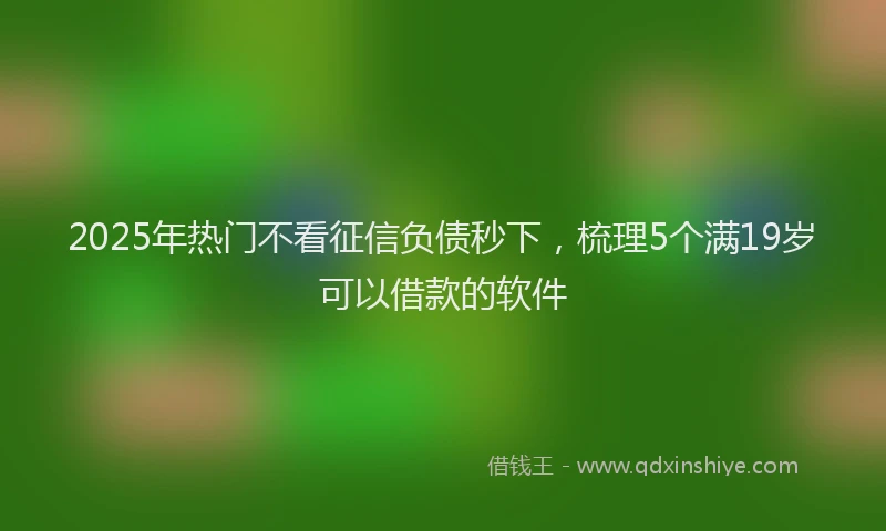 2025年热门不看征信负债秒下，梳理5个满19岁可以借款的软件