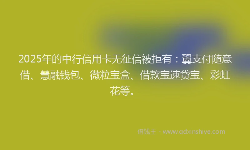 2025年的中行信用卡无征信被拒有：翼支付随意借、慧融钱包、微粒宝盒、借款宝速贷宝、彩虹花等。
