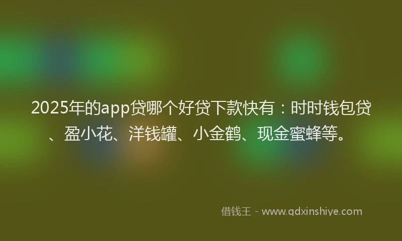 2025年的app贷哪个好贷下款快有：时时钱包贷、盈小花、洋钱罐、小金鹤、现金蜜蜂等。