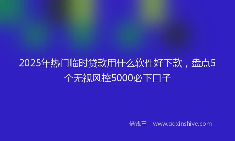 2025年热门临时贷款用什么软件好下款，盘点5个无视风控5000必下口子