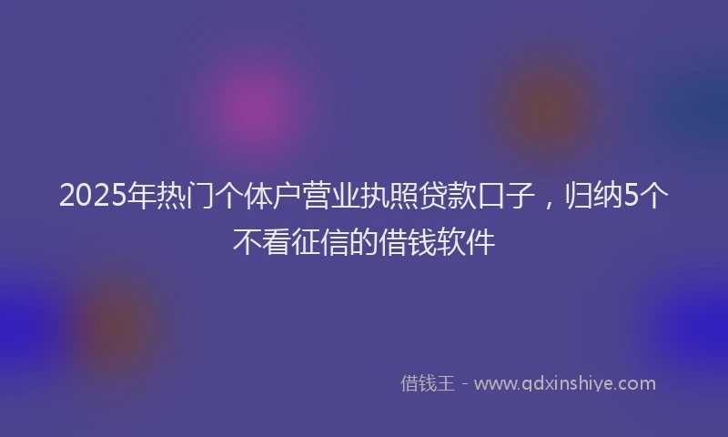 2025年热门个体户营业执照贷款口子，归纳5个不看征信的借钱软件