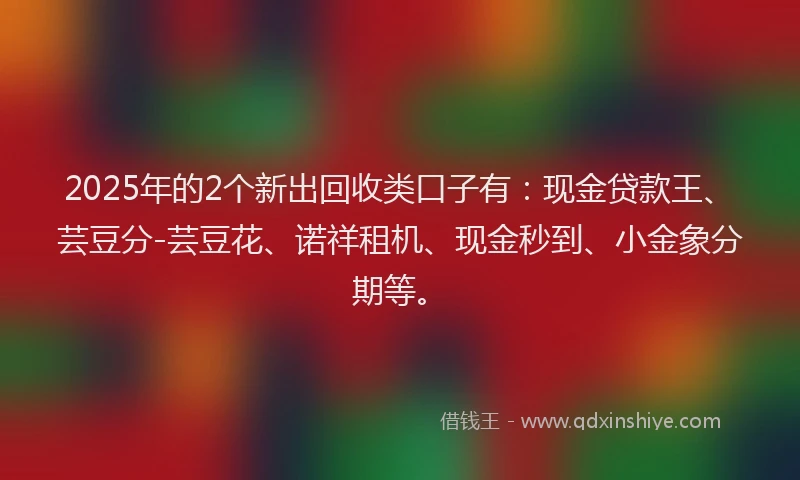 2025年的2个新出回收类口子有：现金贷款王、芸豆分-芸豆花、诺祥租机、现金秒到、小金象分期等。